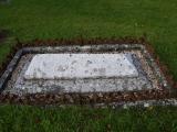 image of grave number 647578